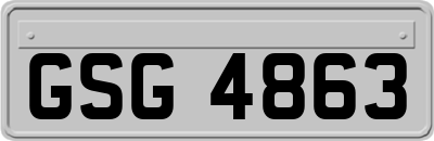 GSG4863