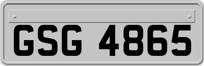 GSG4865
