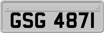 GSG4871