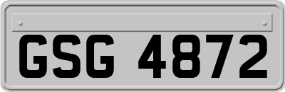 GSG4872