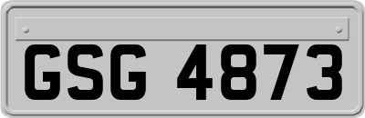 GSG4873