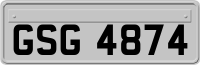 GSG4874