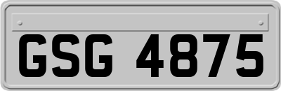 GSG4875