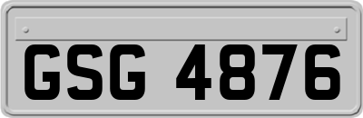 GSG4876