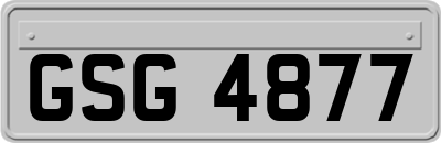 GSG4877