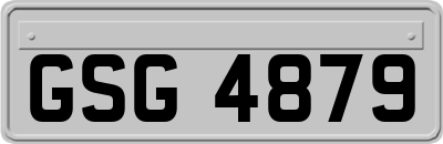 GSG4879