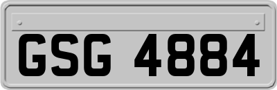 GSG4884
