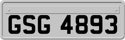 GSG4893