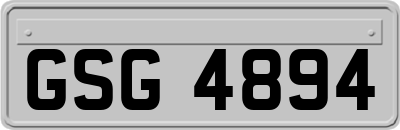 GSG4894