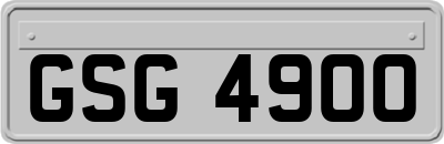 GSG4900