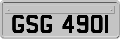 GSG4901