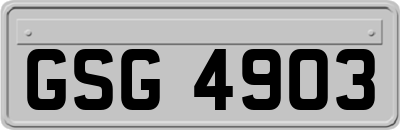 GSG4903