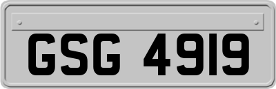 GSG4919