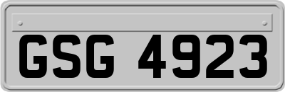 GSG4923