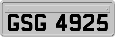 GSG4925
