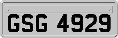 GSG4929