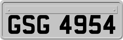 GSG4954