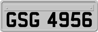 GSG4956