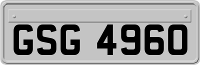 GSG4960
