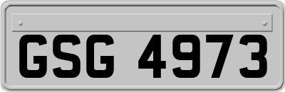 GSG4973