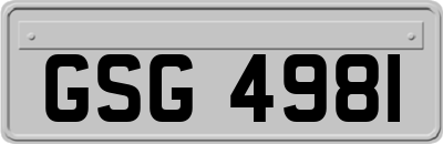 GSG4981