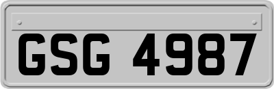 GSG4987