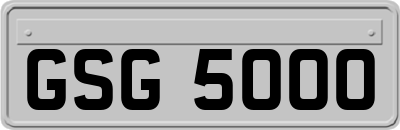 GSG5000