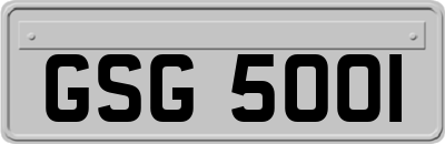 GSG5001