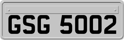 GSG5002