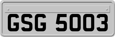 GSG5003