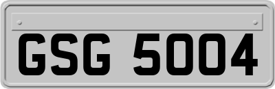 GSG5004