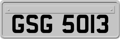 GSG5013