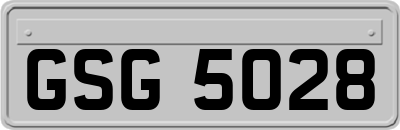 GSG5028