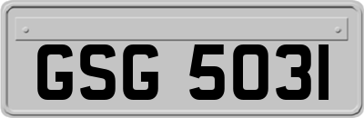 GSG5031