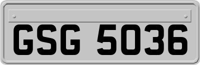 GSG5036