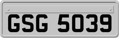 GSG5039