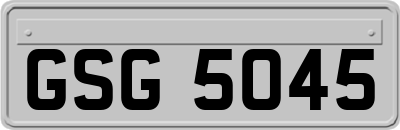 GSG5045