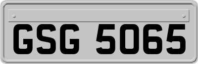 GSG5065