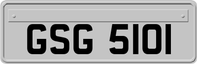 GSG5101