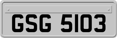 GSG5103