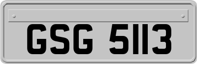 GSG5113