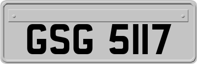 GSG5117