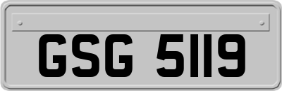 GSG5119