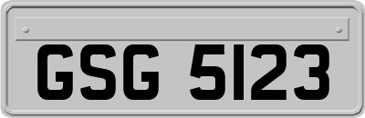 GSG5123