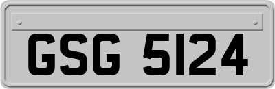 GSG5124