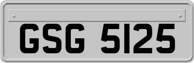 GSG5125