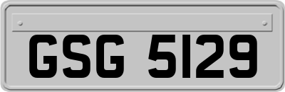 GSG5129