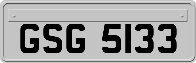 GSG5133