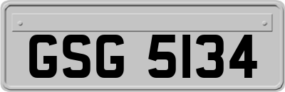 GSG5134