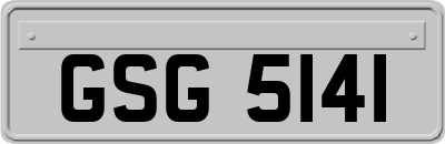 GSG5141